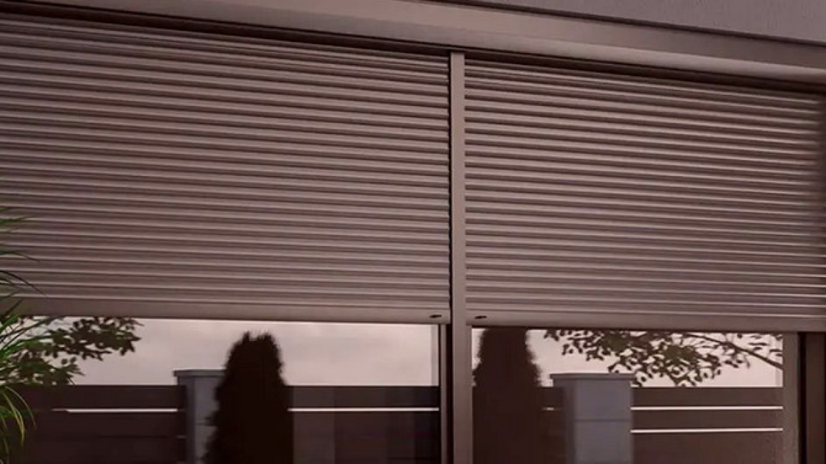 تركيب شترات الرياض