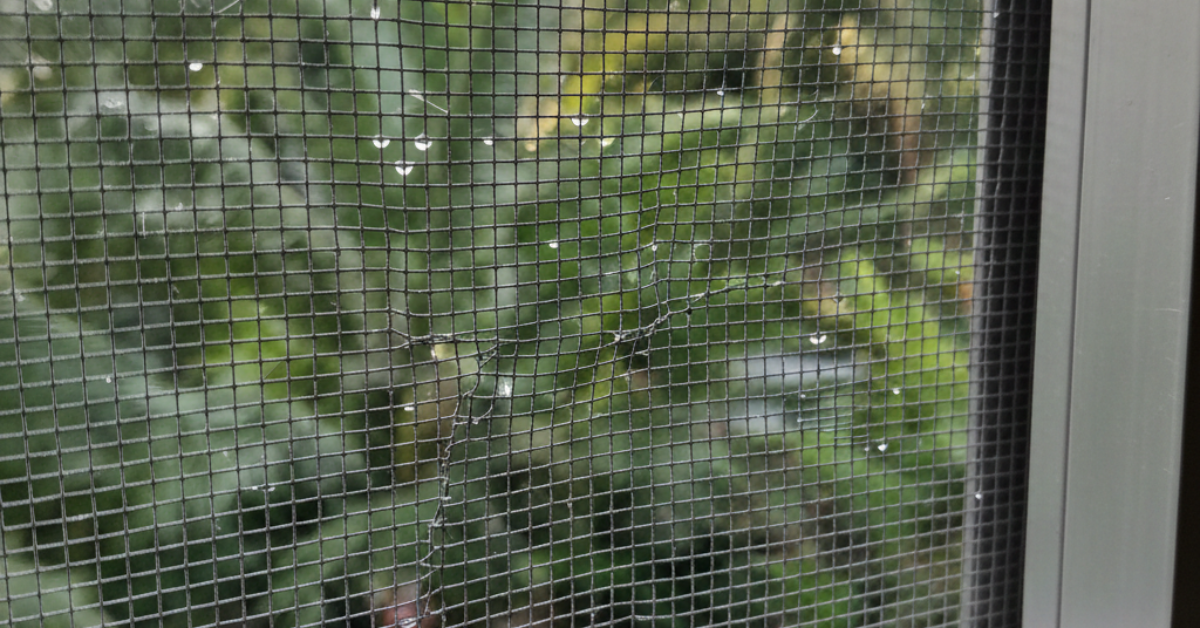 لقطة قريبة لنسيج شبك معدني متين يُصنف ضمن أفضل أنواع شبك الناموس لحماية النوافذ والأبواب.