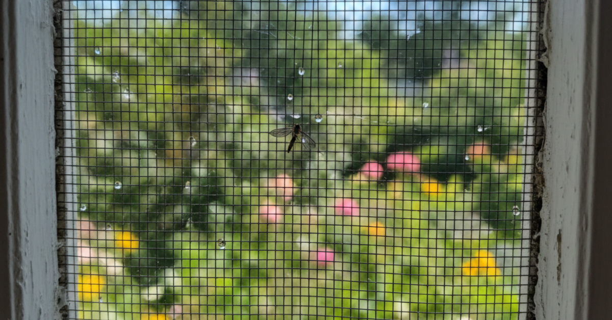 حشرة تقف على شبك نافذة سلكي يوضح كفاءة أفضل أنواع شبك الناموس في منع دخول الحشرات للمنزل.