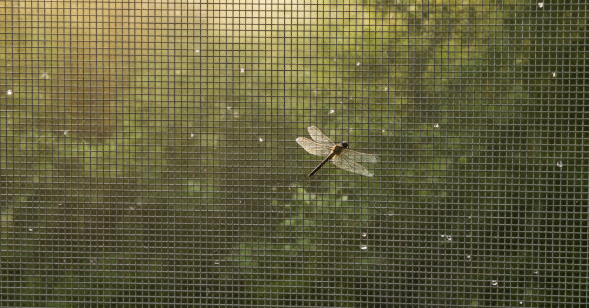 يعسوب يقف على شبك نامس ألمنيوم متين في وقت الغروب، مما يوضح التصميم الشبكي المنتظم الذي يسمح بمرور الهواء ويمنع الحشرات الطائرة.