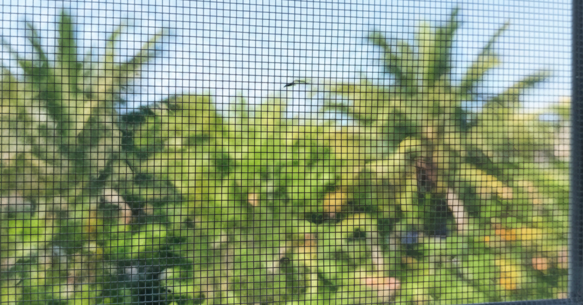 لقطة قريبة توضح متانة شبك ناموس مثبت على نافذة تطل على حديقة خضراء وأشجار نخيل في ضوء النهار.