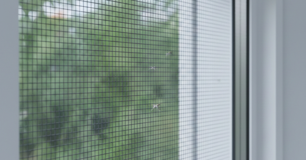 نافذة مودرن مزودة بقطعة شبك ناموس ذات فتحات ضيقة جداً لتوفير الحماية والتهوية الجيدة للغرفة.