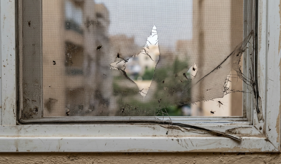 شبكة نافذة تالفة وممزقة بالكامل تبرز عيوب شبك الناموس التقليدي وسهولة قطعه.